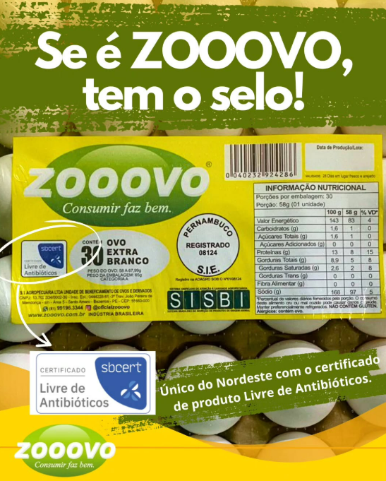 Captura de tela 2025-07-10 230053.png