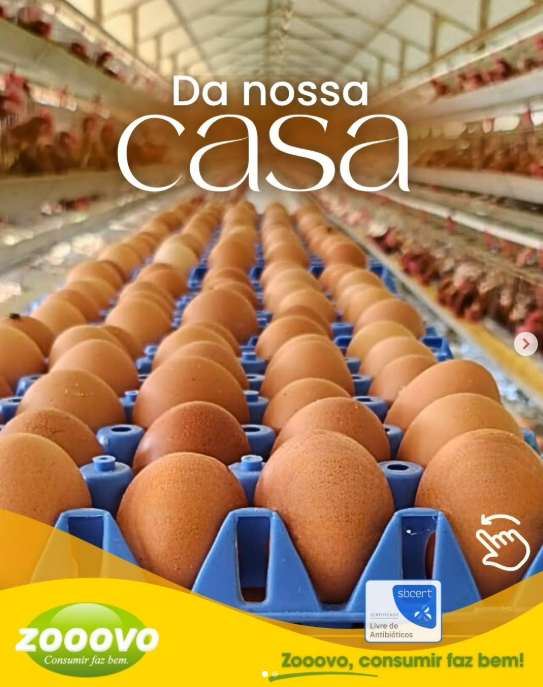 Captura de tela 2025-11-08 211056.png