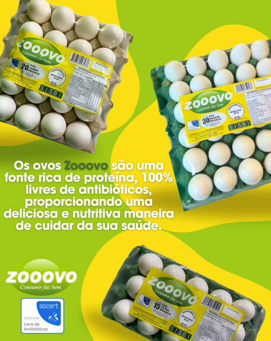 Captura de tela 2025-08-10 212156.png
