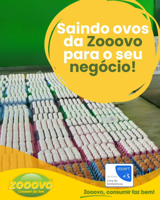 Captura de tela 2026-04-08 234805.png