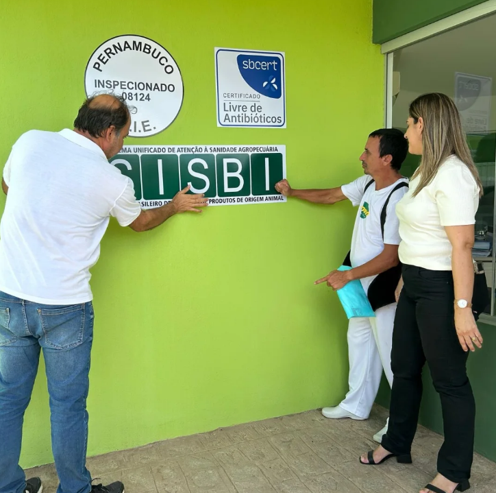 Captura de tela 2026-02-15 133520.png