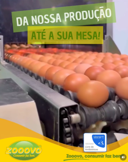 Captura de tela 2026-03-06 004011.png