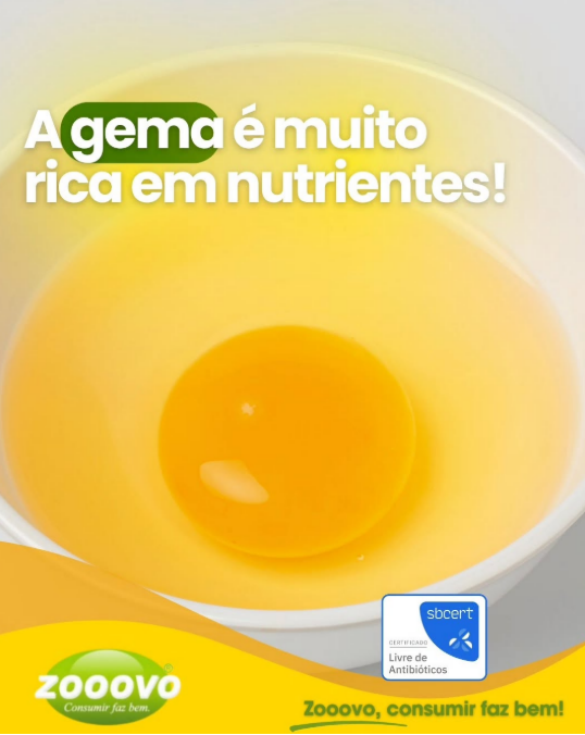 Captura de tela 2026-07-18 172251.png