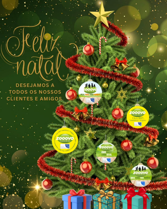 Captura de tela 2025-12-25 175007.png