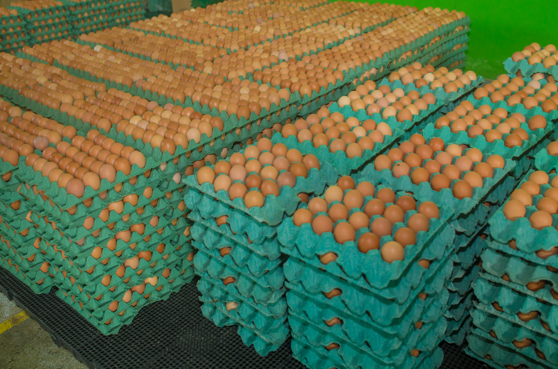 Captura de tela 2026-02-15 133530.png