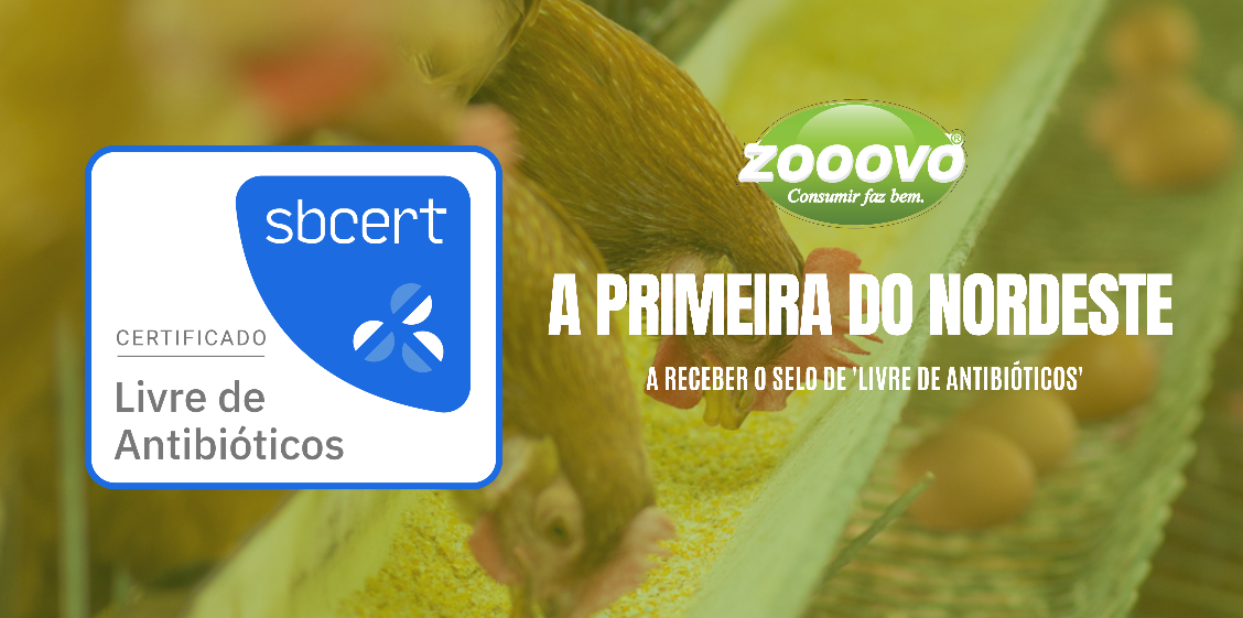 Captura de tela 2025-01-27 165252.png